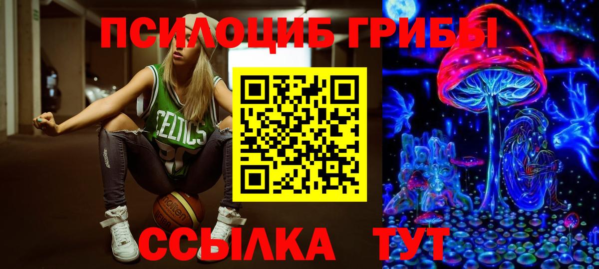 Дмитров  Псилоцибиновые грибы ЛСД  Вход с VPN 