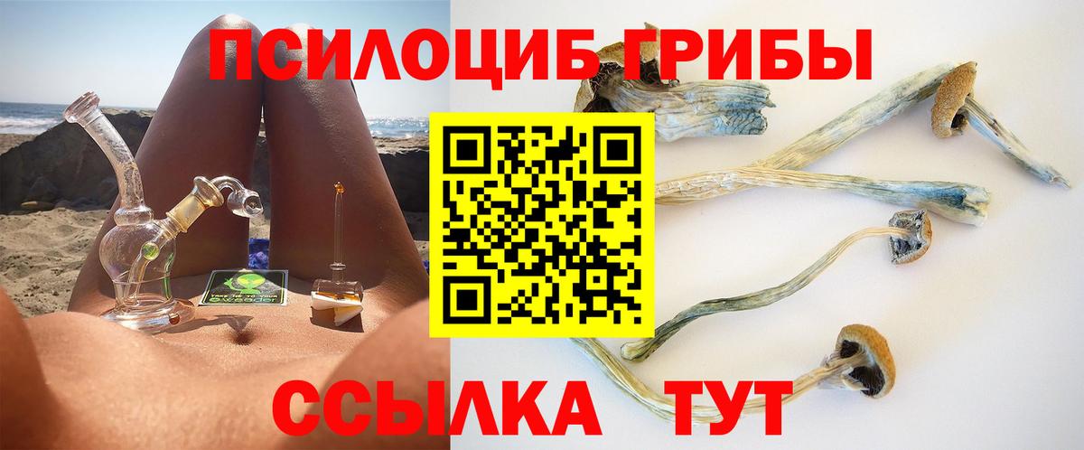 Псилоцибиновые грибы Psilocybe Дмитров